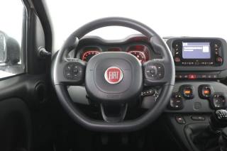 FIAT Panda usata 12