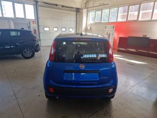FIAT Panda usata, con Cerchi in lega