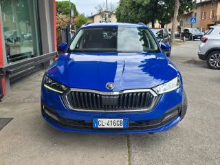 SKODA Octavia usata 141