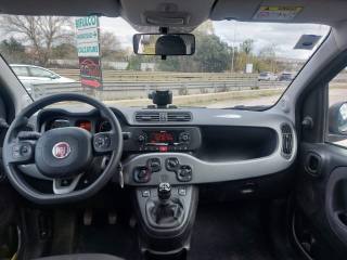 FIAT Panda usata, con Servosterzo
