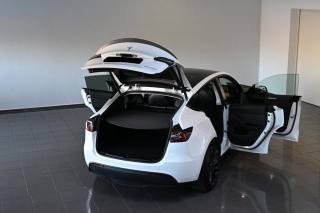 TESLA Model Y usata, con Autoradio