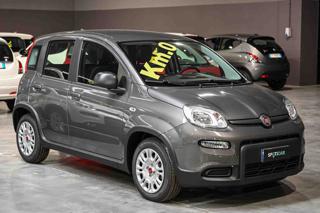 FIAT Panda usata, con Airbag Passeggero