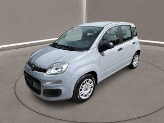 FIAT Panda 3ª serie -  1.0 FireFly S&S Hybrid
