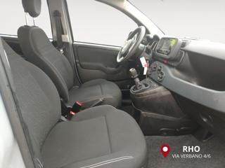 FIAT Panda usata 14