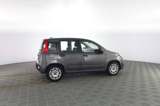 FIAT Panda usata 2