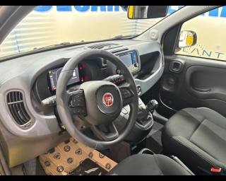 FIAT Pandina usata, con Cruise Control