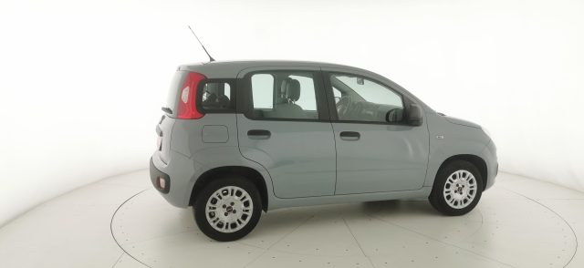 FIAT Panda usata 18