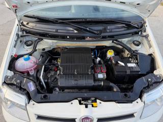 FIAT Panda usata 22