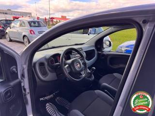 FIAT Panda usata, con Fendinebbia