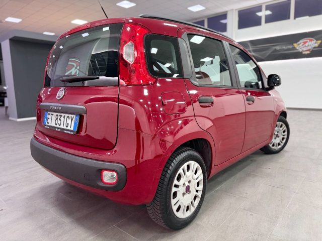 FIAT Panda usata 31
