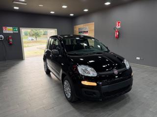 FIAT Pandina usata, con Schermo multifunzione interamente digitale