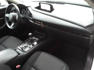 MAZDA CX-30 usata, con Cronologia tagliandi