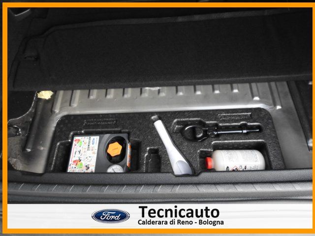 FORD EcoSport usata, con Controllo vocale