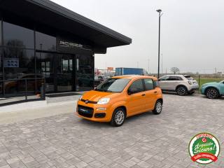 FIAT Panda usata, con Airbag