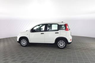 FIAT Panda usata 5