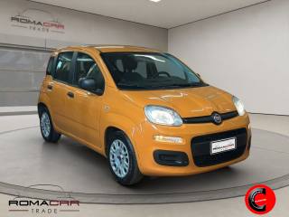 FIAT Panda usata, con Alzacristalli elettrici