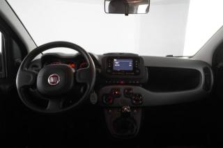 FIAT Panda usata 11