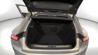 DS AUTOMOBILES DS 4 usata, con Climatizzatore