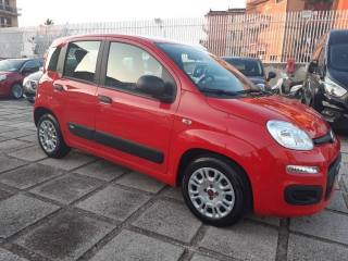 FIAT Panda usata, con Airbag Passeggero