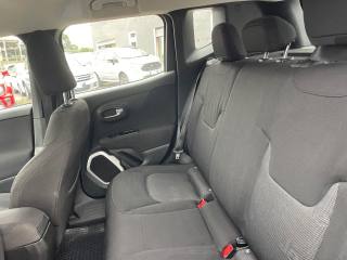 JEEP Renegade usata 14