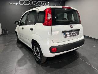 FIAT Panda usata, con Alzacristalli elettrici
