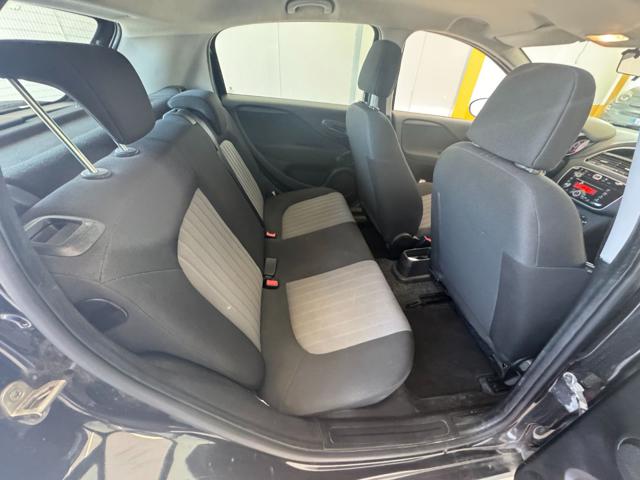 FIAT Punto usata 14