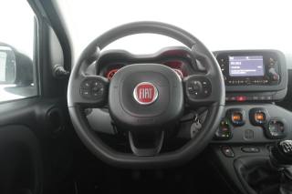 FIAT Panda usata 5