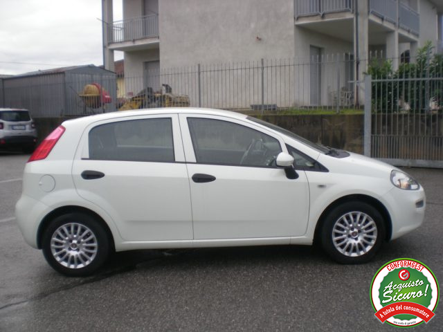 FIAT Punto usata, con Servosterzo
