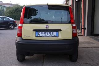 FIAT Panda usata 43