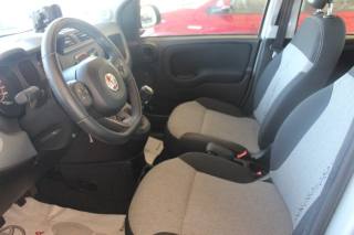 FIAT Panda usata 17