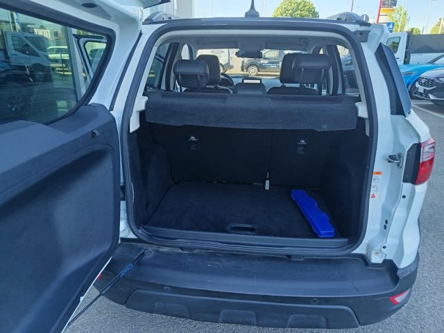 FORD EcoSport usata, con Fendinebbia