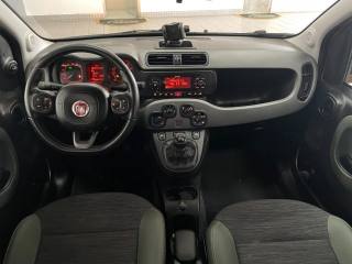 FIAT Panda usata, con Controllo trazione
