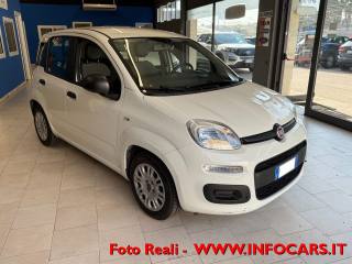 FIAT Panda Hybrid 1.0 FireFly 70 cv Neopatentati - PROMO