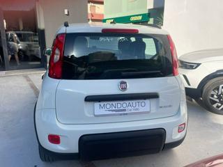 FIAT Panda usata, con Airbag Passeggero