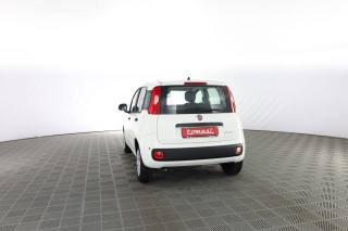 FIAT Panda usata 4