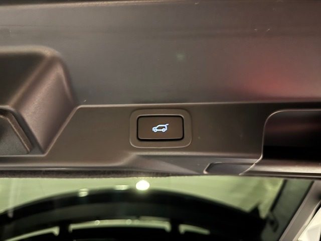 LAND ROVER Range Rover Sport usata, con USB