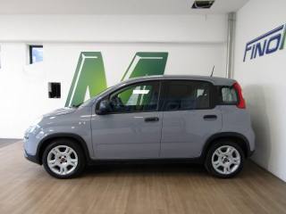 FIAT Panda usata, con Antifurto