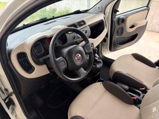 FIAT Panda usata, con ESP
