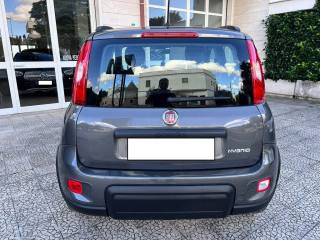FIAT Panda usata 7