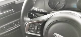 JAGUAR XE usata, con Supporto lombare