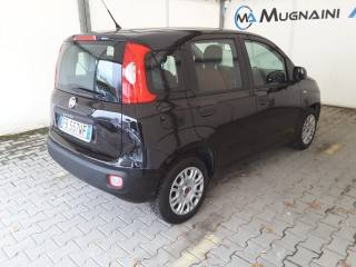 FIAT Panda usata, con Chiusura centralizzata telecomandata