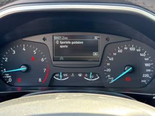 FORD Focus usata 14