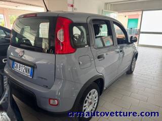 FIAT Panda usata, con Antifurto