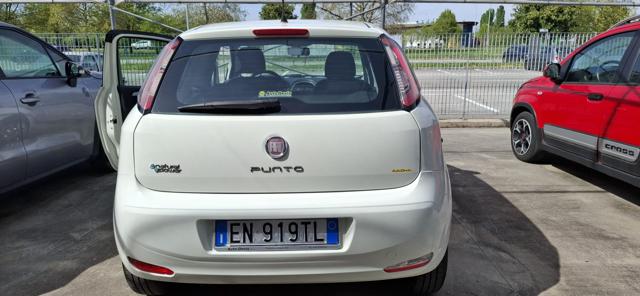 FIAT Punto usata, con Airbag