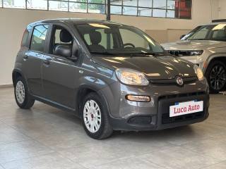 FIAT Panda usata, con Airbag Passeggero