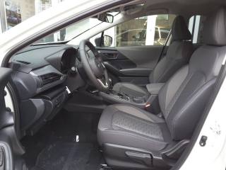 SUBARU Crosstrek usata, con Boardcomputer