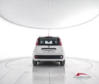 FIAT Panda usata 5