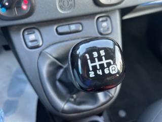 FIAT Panda usata, con Servosterzo