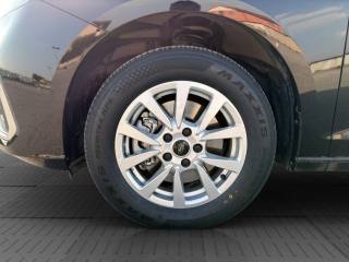 FORD Tourneo Connect usata 14