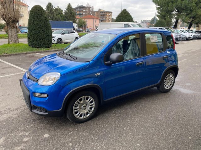 FIAT Panda usata, con Antifurto